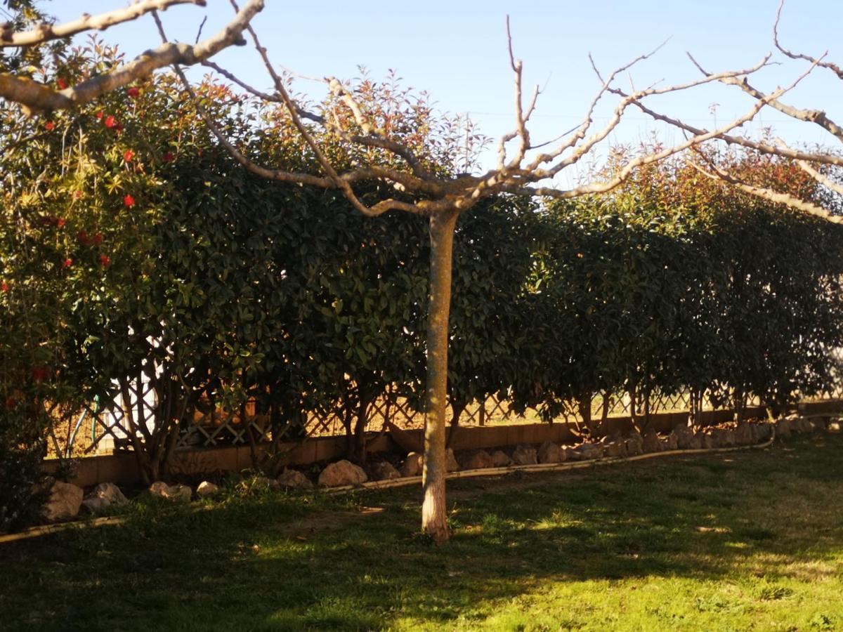 Casa Rural, Masia Antigua Restaurada Begur Kültér fotó